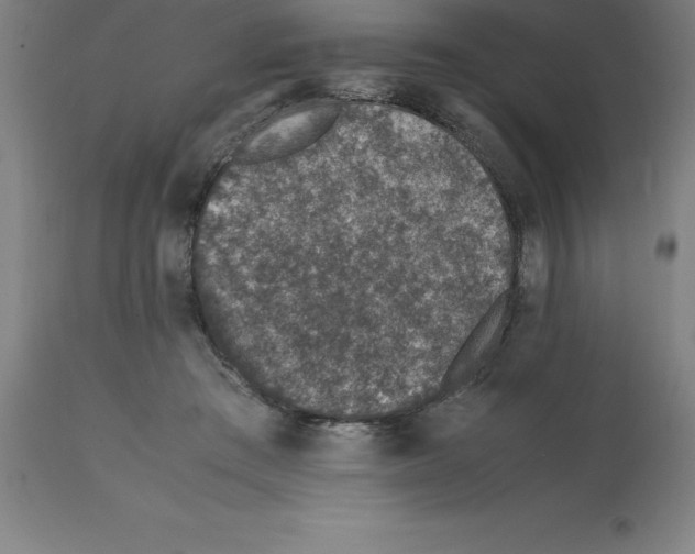 X0000112110409200909151229