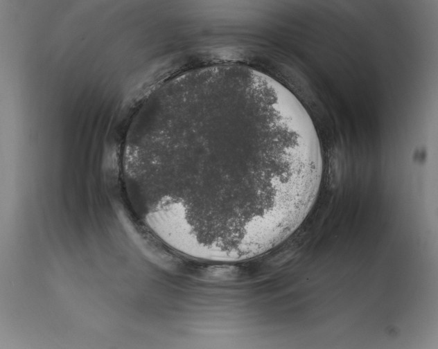 X0000112110410200909151229