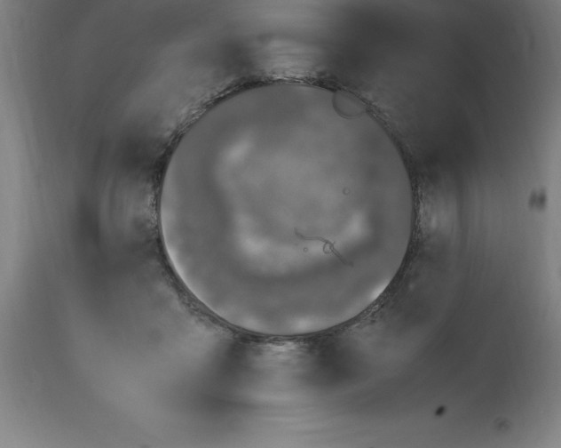 X0000112110411200909151229