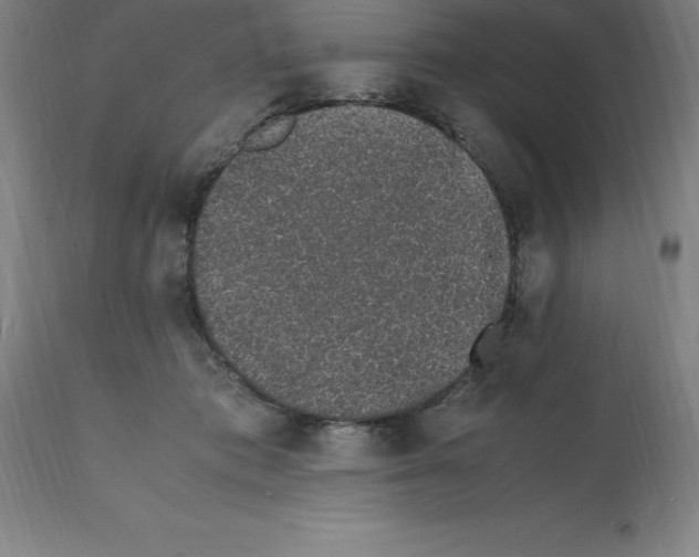 X0000112110413200909151229