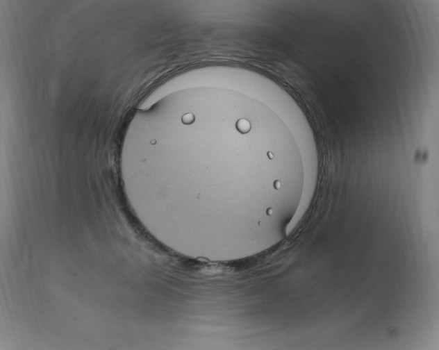 X0000112110415200909151229