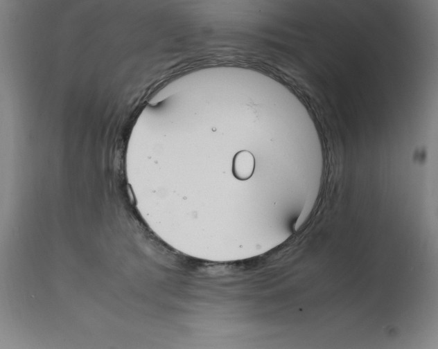 X0000112110417200909151229