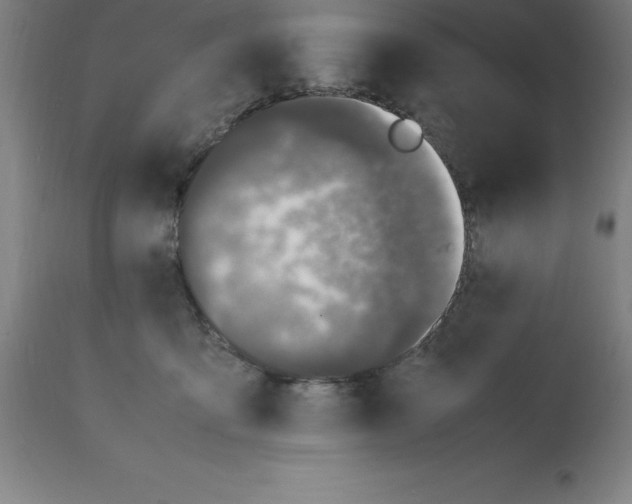 X0000112110419200909151229