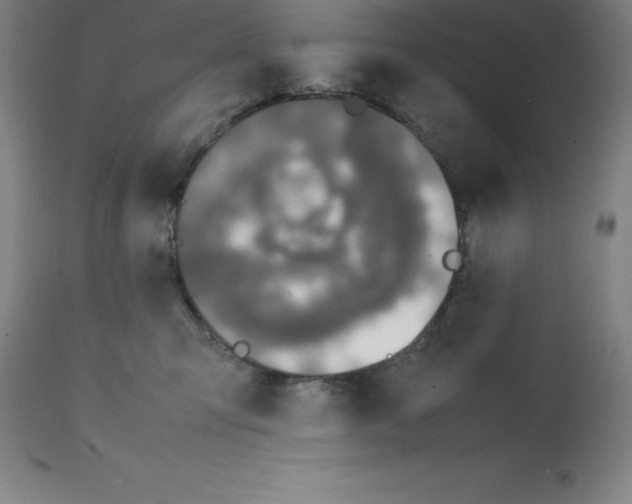 X0000112110423200909151229
