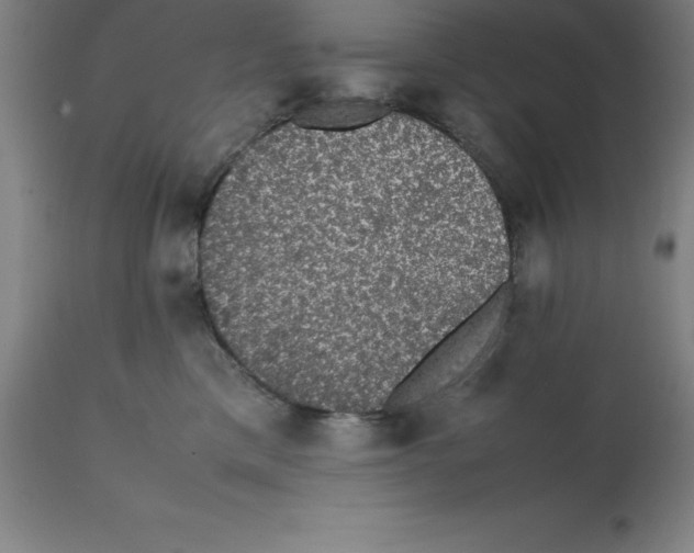 X0000112110425200909151229