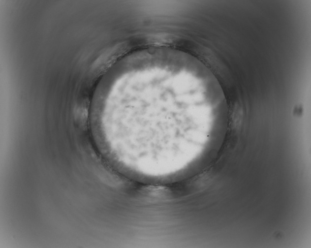 X0000112110427200909151229