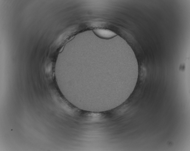 X0000112110428200909151229