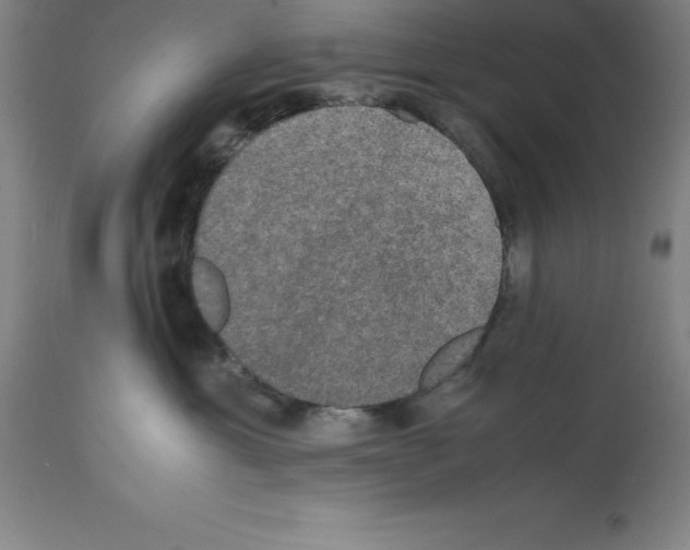 X0000112110429200909151229