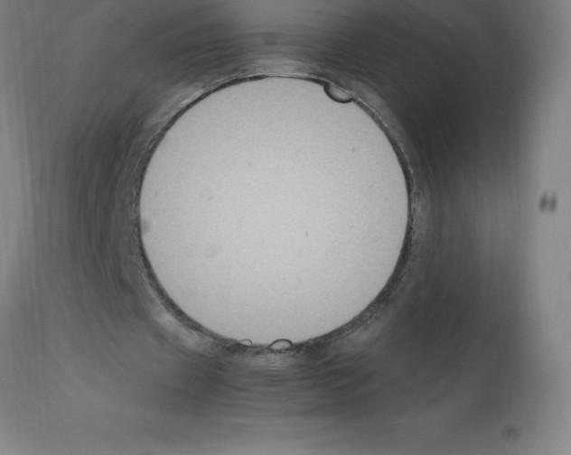 X0000112110433200909151227
