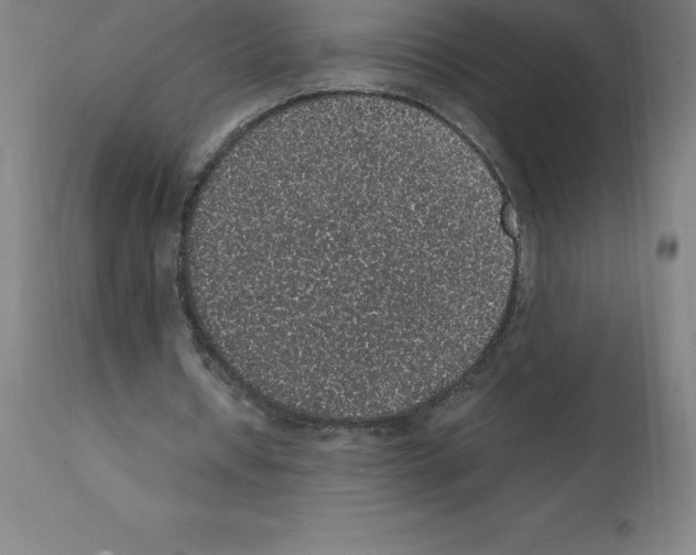 X0000112110434200909151227