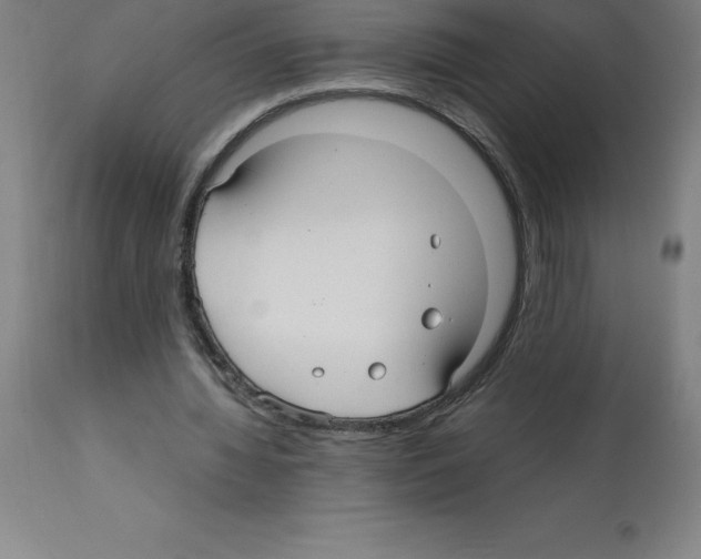 X0000112110436200909151227