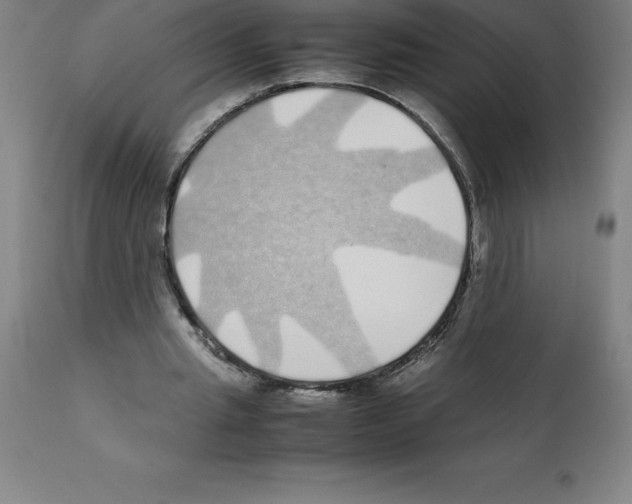 X0000112110437200909151227