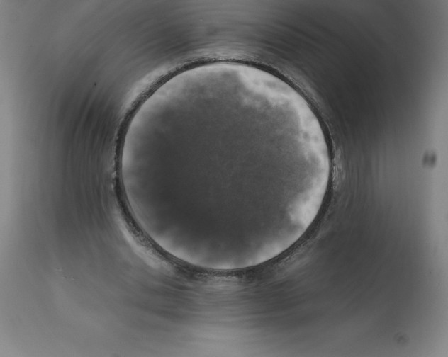 X0000112110438200909151227