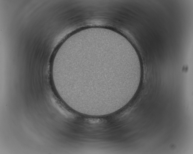 X0000112110439200909151227