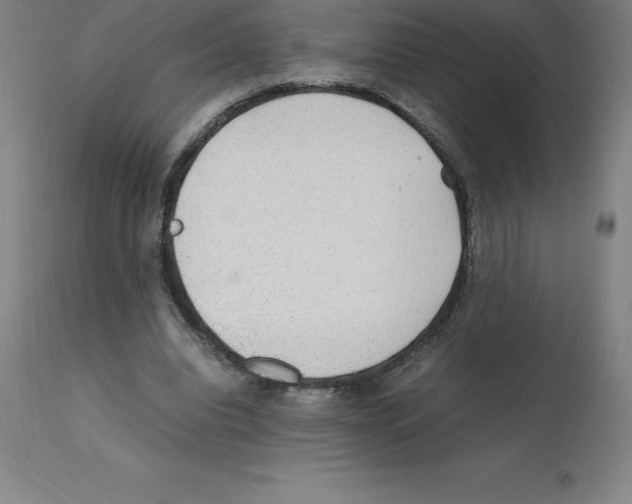 X0000112110440200909151227