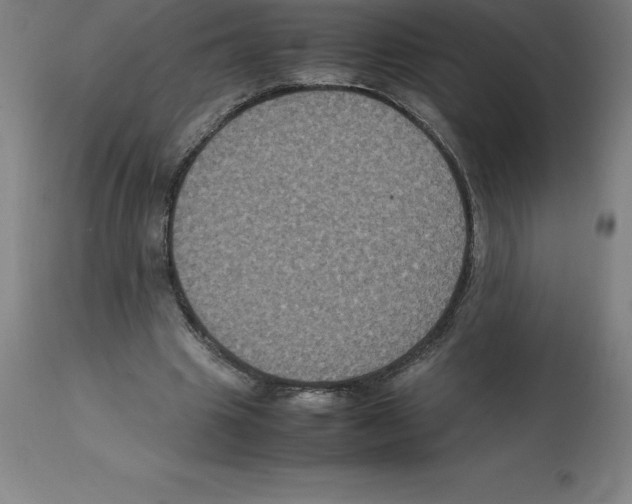 X0000112110441200909151227