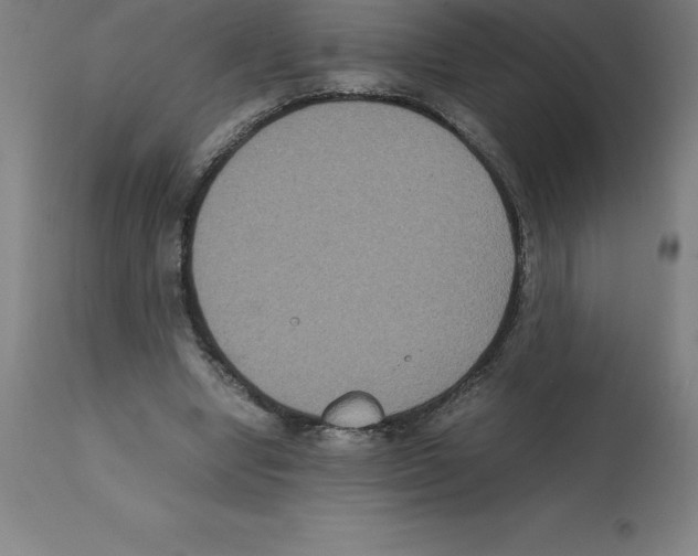 X0000112110442200909151227