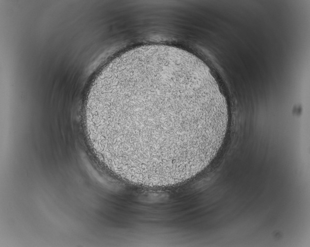 X0000112110443200909151228