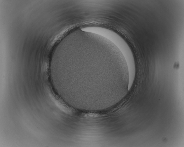 X0000112110444200909151228