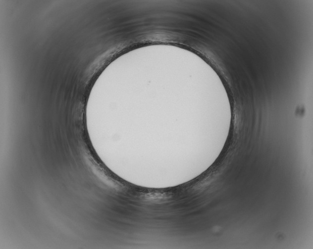 X0000112110445200909151228