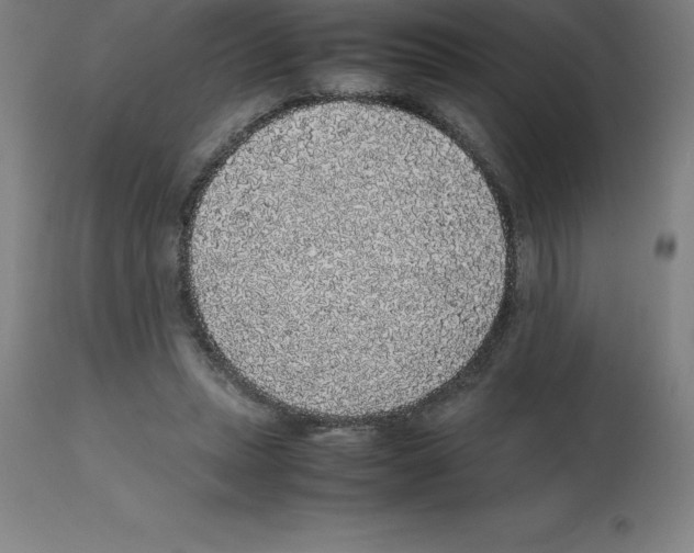 X0000112110447200909151228