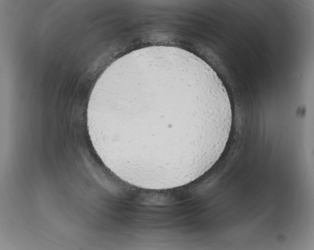 X0000112110449200909151228