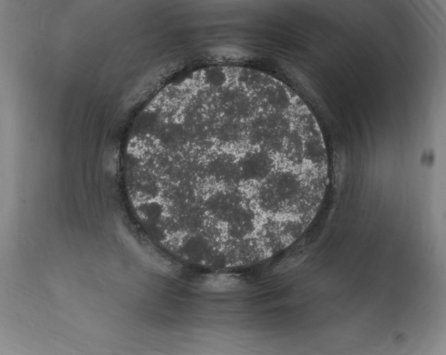 X0000112110451200909151228