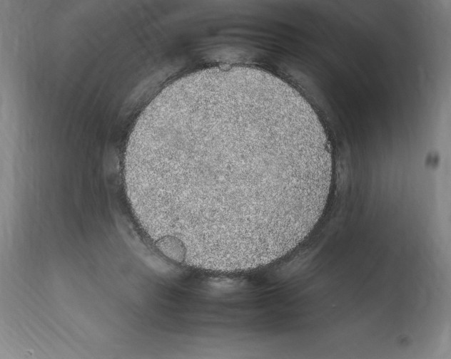 X0000112110453200909151228