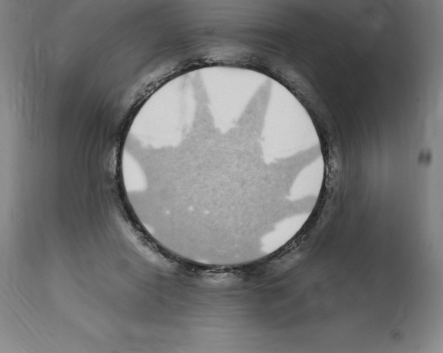 X0000112110454200909151228