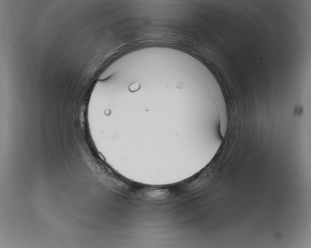 X0000112110456200909151228