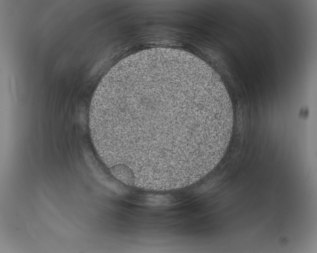 X0000112110457200909151228