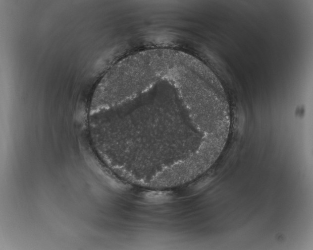 X0000112110465200909151228