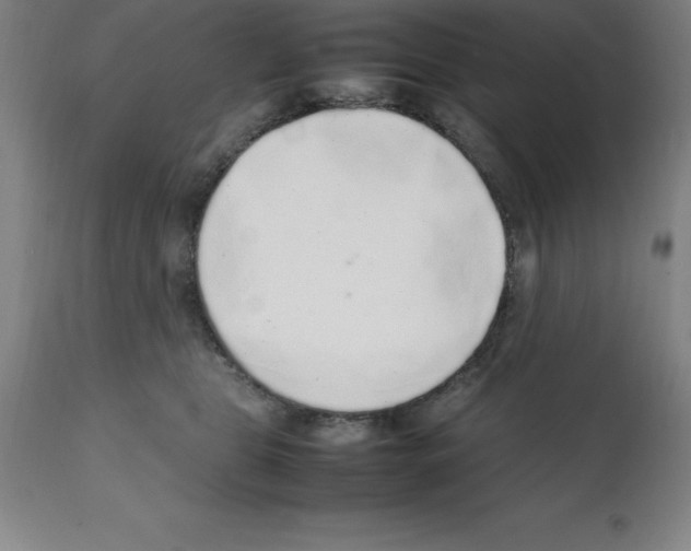 X0000112110469200909151228