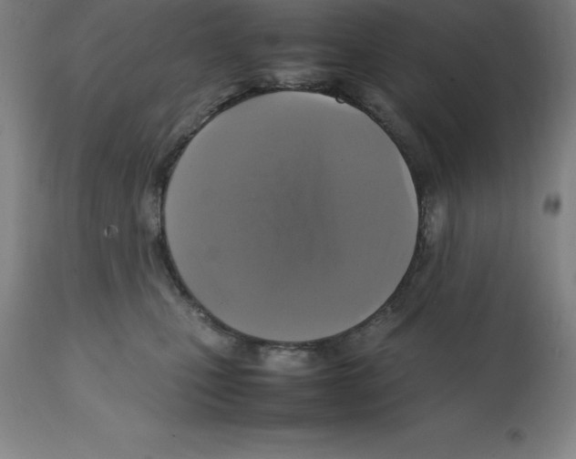 X0000112110471200909151228