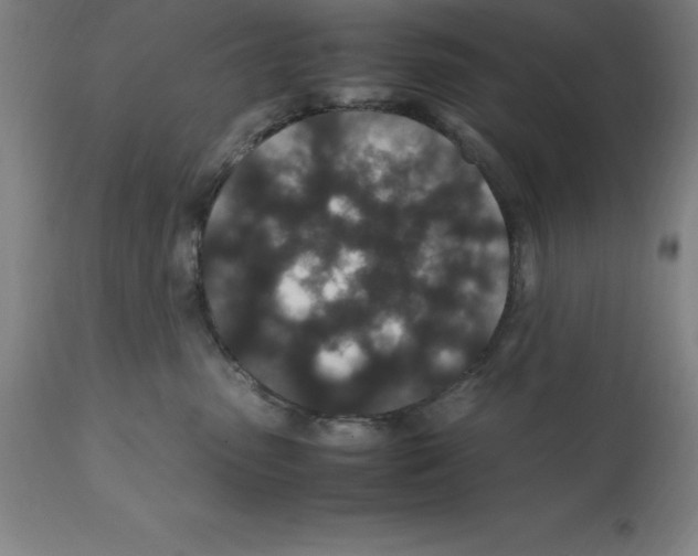 X0000112110475200909151228