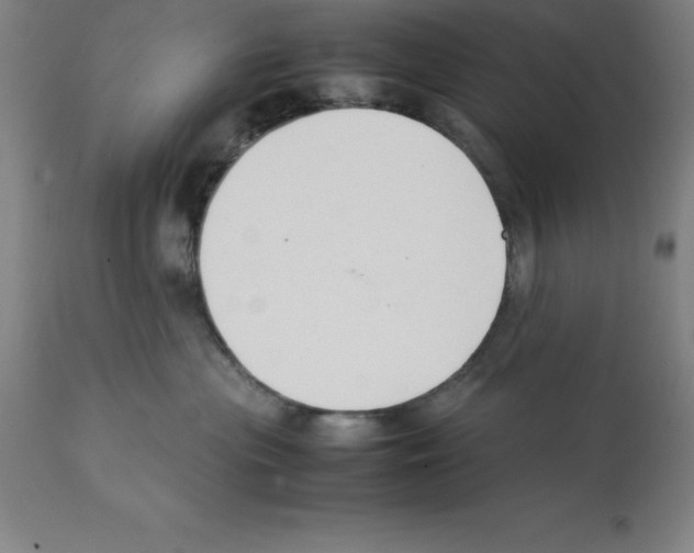 X0000112110477200909151228