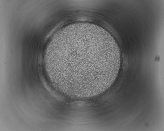 X0000112110482200909151227