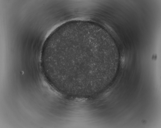 X0000112110484200909151227