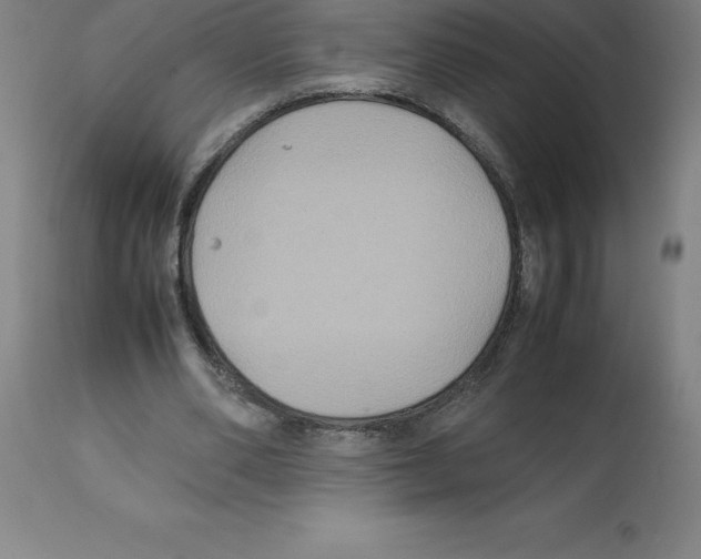 X0000112110486200909151227