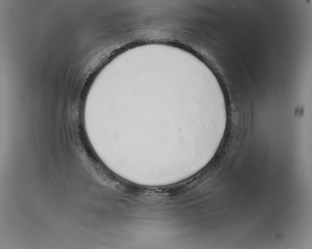 X0000112110487200909151227