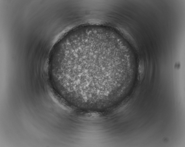 X0000112110492200909151227