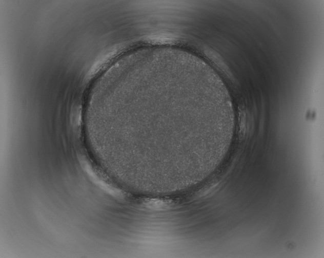 X0000112110494200909151227