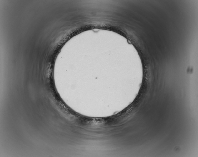 X0000112110495200909151227