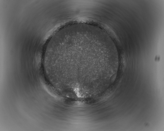 X0000112110496200909151227