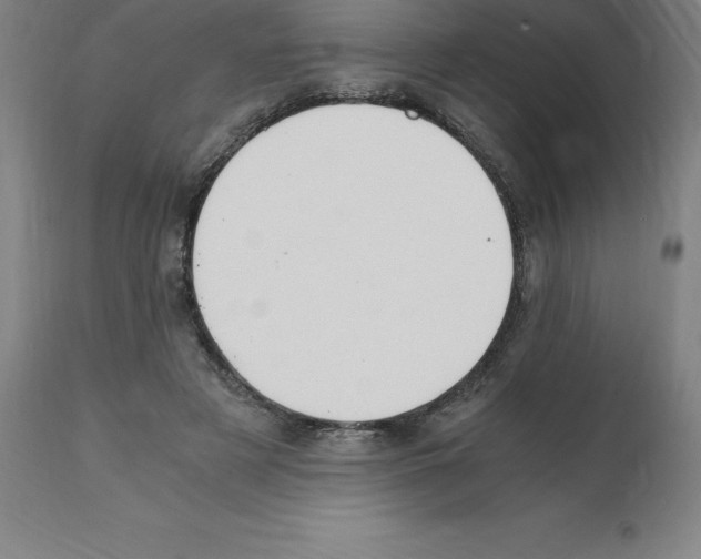 X0000112110497200909151227