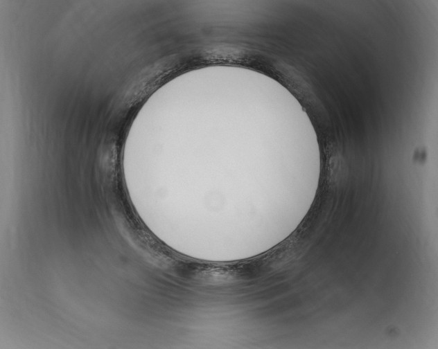 X0000112110498200909151227