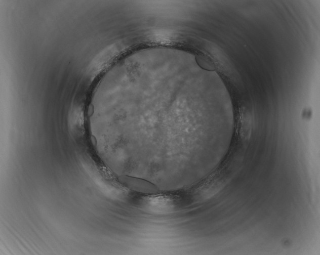 X0000112110500200909151227