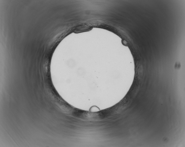 X0000112110501200909151227