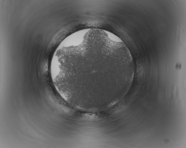 X0000112110502200909151227