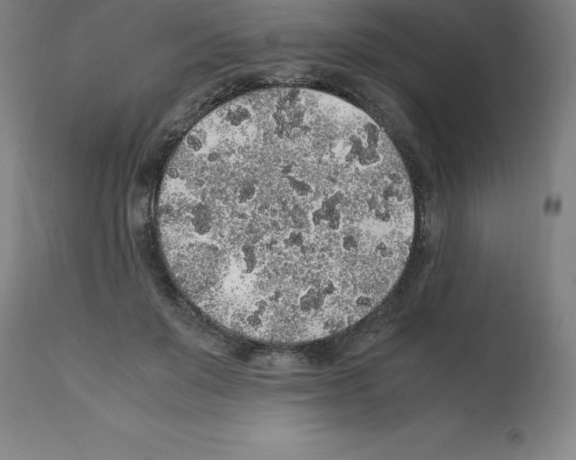 X0000112110503200909151227
